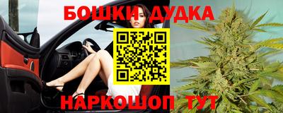 прущие грибы Будённовск